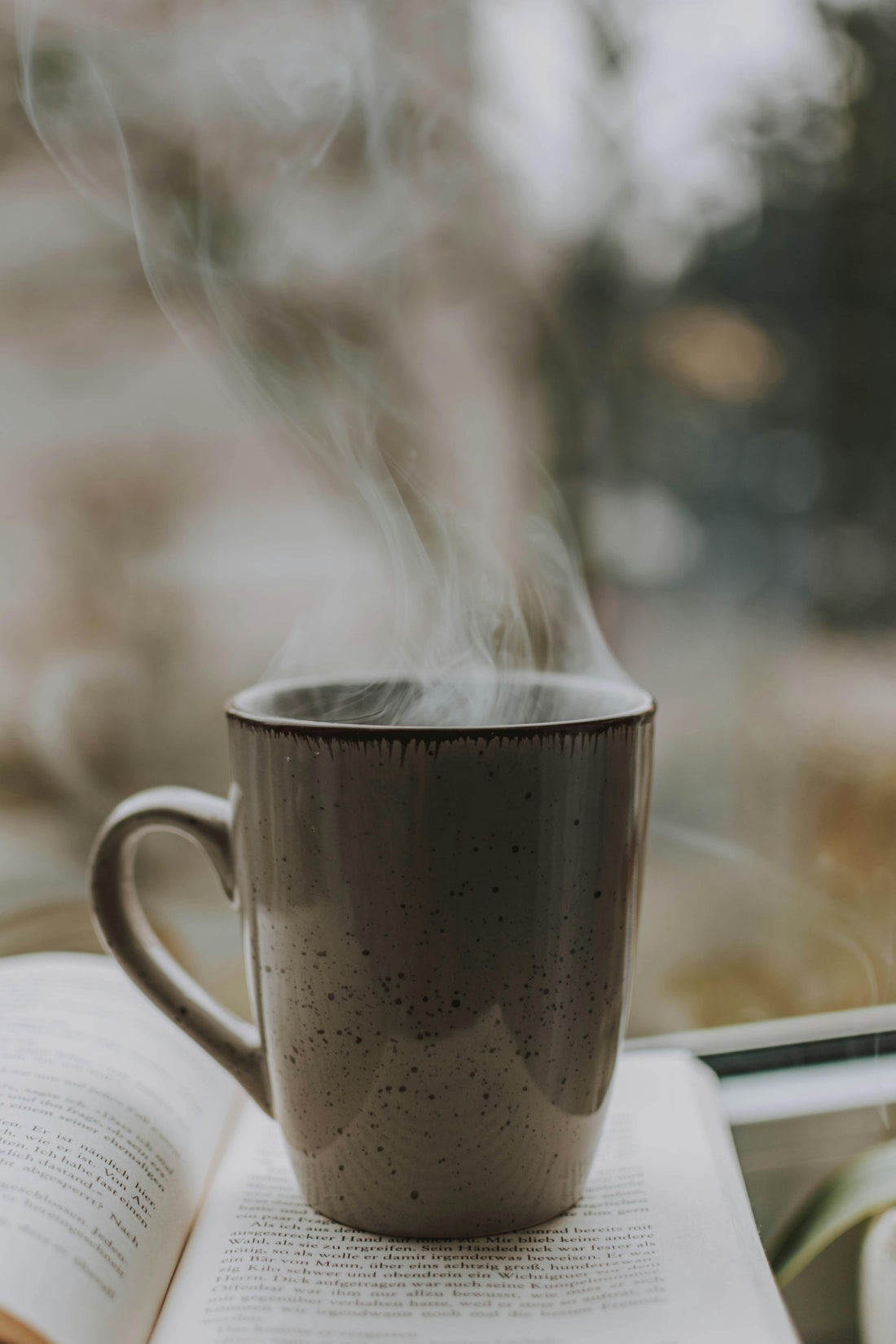 Café aux champignons : miracle santé ou simple tendance ?